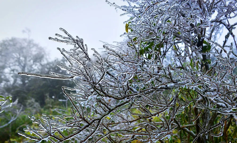 「揭陽第一峰」李望嶂